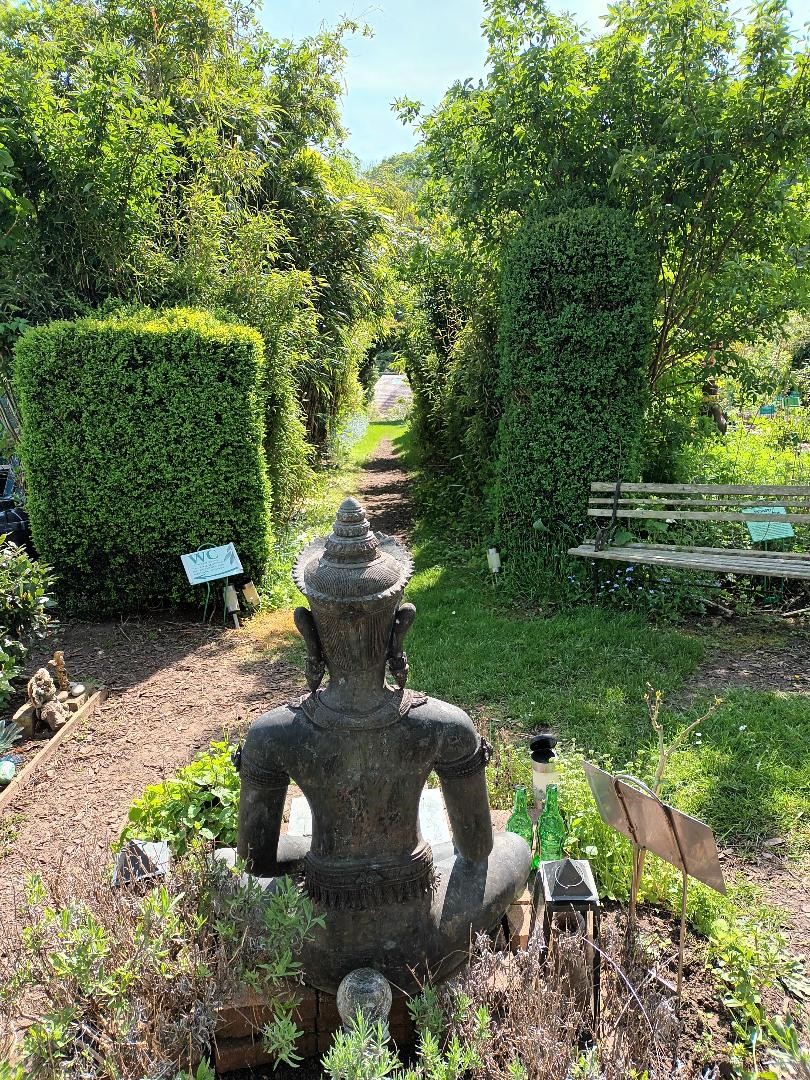 Guest Retreat: Reflect Restore Reconnect - Day of Reflective Practice in Nature for Busy Professionals