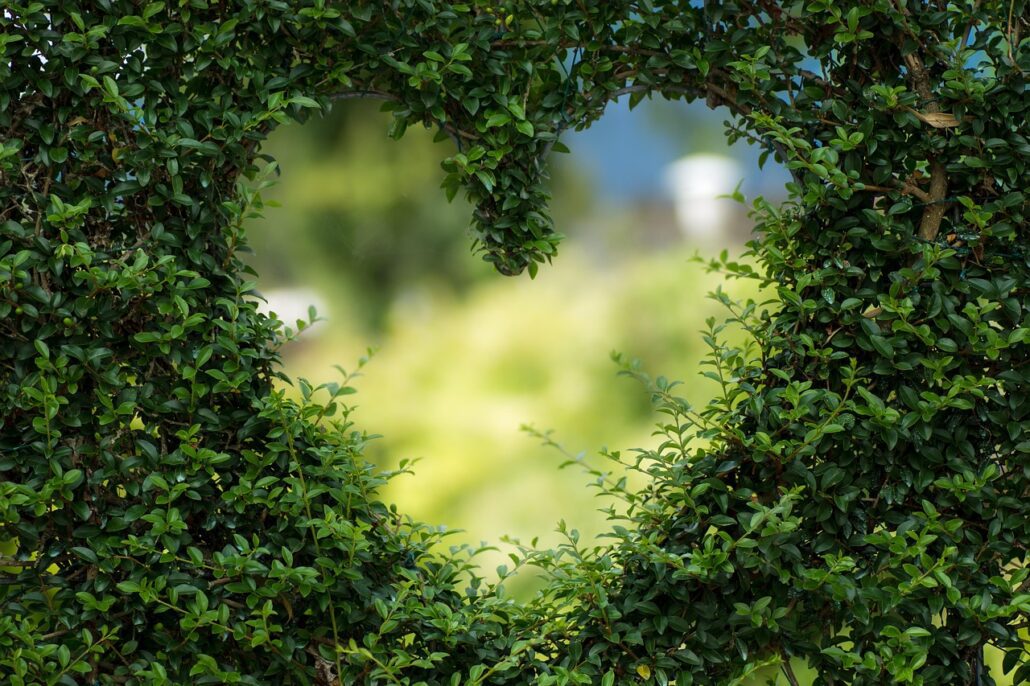 valentines day background, wallpaper 4k, hd wallpaper, heart, mac wallpaper, free wallpaper, 4k wallpaper 1920x1080, laptop wallpaper, leaves, full hd wallpaper, foliage, beautiful wallpaper, desktop backgrounds, free background, garden, bush, nature, cool backgrounds, heart shape, wallpaper hd, love, romance, plants, background, zoom background, windows wallpaper, 4k wallpaper, green background, green heart, green plants