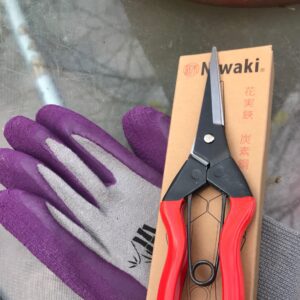 Niwaki Garden Snips