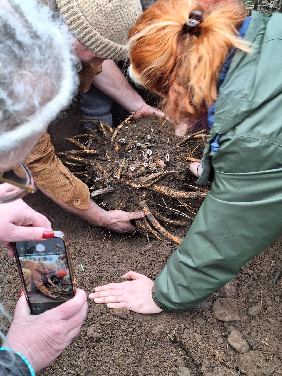 *Healing Roots, with Jill Schnabel