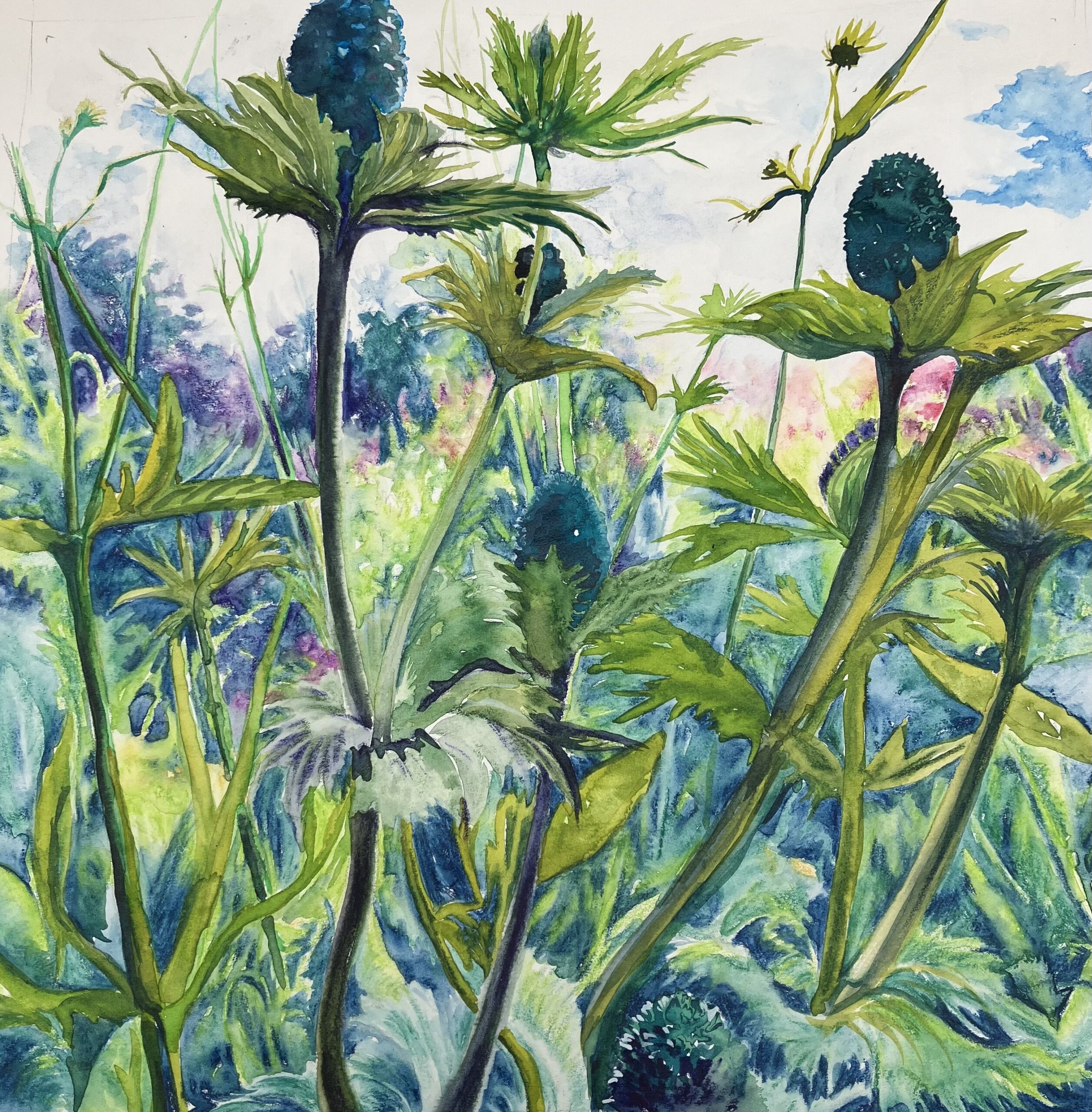 Guest Workshop: Art in the Garden: Drawing and Painting Workshop, Indoors and Out in the Garden