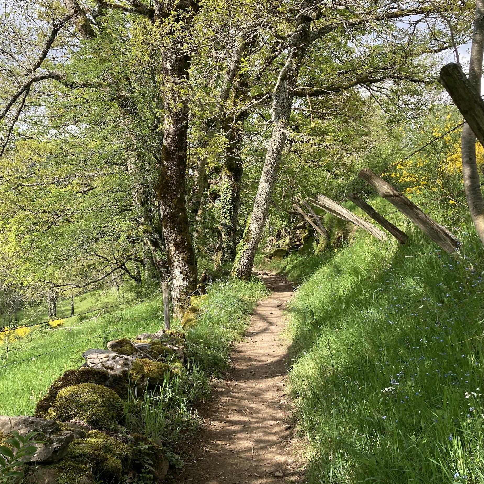 Guest Workshop: New Terrain: for women ready for their next challenge , with Juno Quaintrell