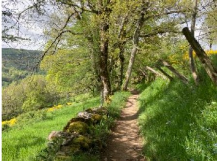 Guest Workshop: The examined life: a nature-centred workshop for women seeking purpose, with Juno Quaintrell