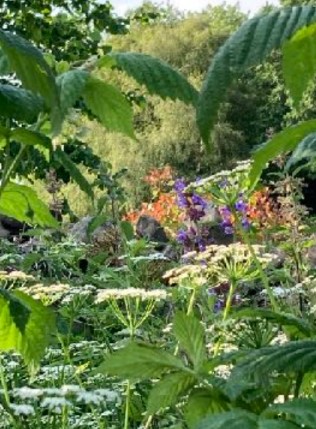 Guest Workshop: The user-friendly guide to happiness through a relationship with nature, with Juno Quaintrell