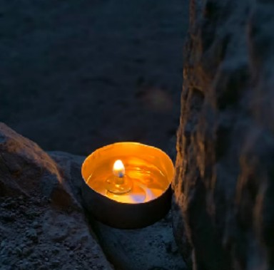 Guest Workshop: Be a wild wisewoman for a day, with Juno Quaintrell