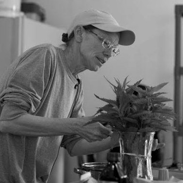 Prairie Plants and Native American Ethnobotany Class, with ethnobotanist Rachel Liester